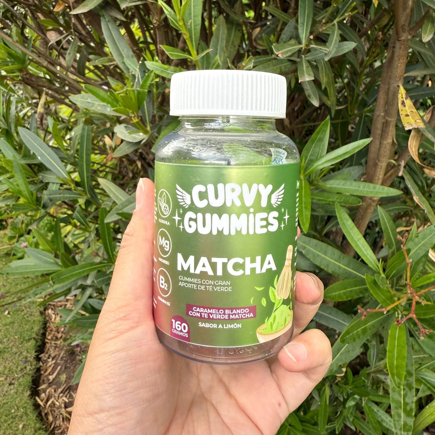 Curvy Gummies Matcha - FraDa Store